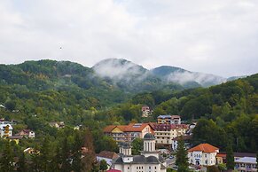Hotel Olanesti