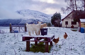 Highland Croft