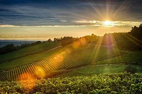 B&B Le Strade del Gavi