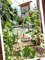 B&B Le Strade del Gavi