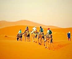 Africa Luxury Camps