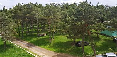 Hotel Tsalka