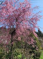 Yadoya Shiroganeya