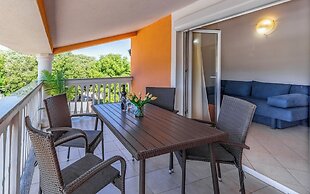 Apartmani Rok