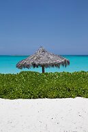 Paradise Bay