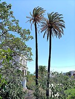 Villa Nestor