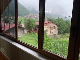 Danis Motel