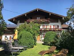 Donebauer