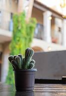 Hotel 1697 Loreto