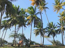 Samana Ecolodge