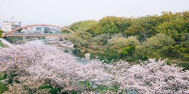Chikugofunagoya Kouennoyado