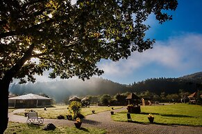 TAOR Karpaty