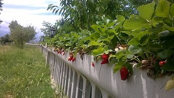 Agriturismo Vemi