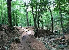 Cozy Nature Escape, Stoumont