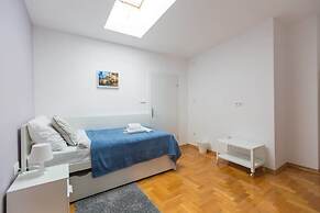 Paw Rooms