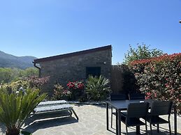 The Garden