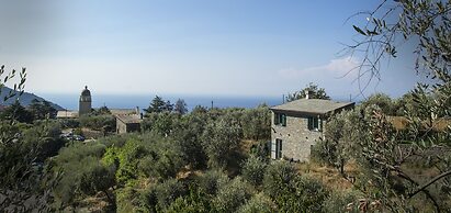 The Garden