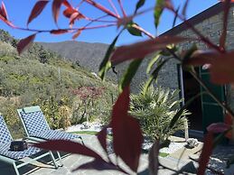 The Garden
