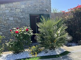 The Garden