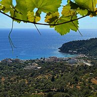 Aphrodite's Garden