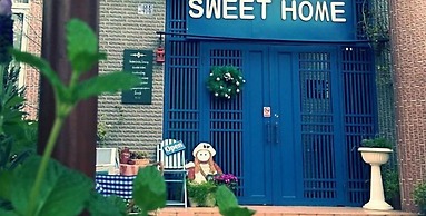 Sweet Home 101