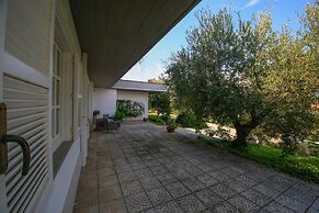 B&B Arli