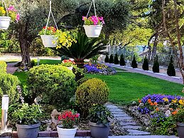 Guest House Antonia