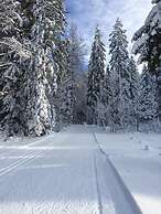 Hotel LAPIAZ & Spa - Flaine
