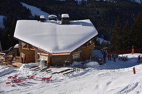 Hotel LAPIAZ & Spa - Flaine