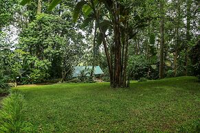 Malkia Trees Lodge