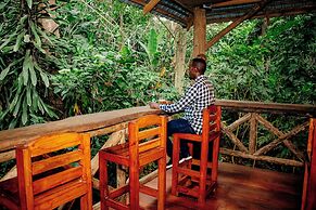 Malkia Trees Lodge