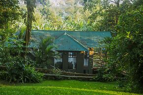 Malkia Trees Lodge