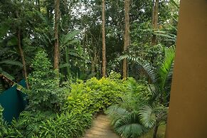 Malkia Trees Lodge
