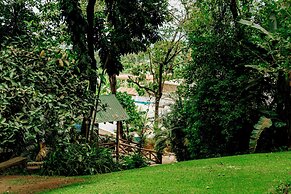 Malkia Trees Lodge