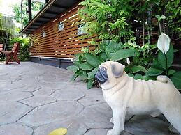 Buddy Guesthouse