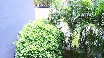 Hotel Calli
