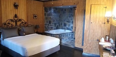 The Swanpark Hotel