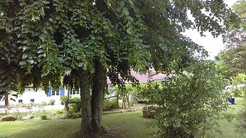 Douvilla