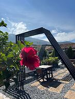 Hotel Aceitunos