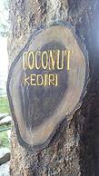 Coconut Hotel - Hostel