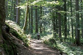 Chalet am Birkenhain