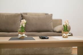 Apartment Dositejeva