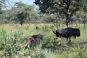 Zangarna Game Lodge