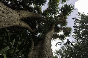 Agricontura