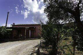 Agricontura