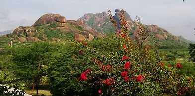 Kipwa Eco Lodge