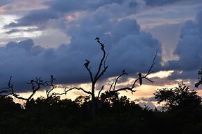 Kele Yala Sri Lanka