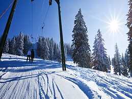 Résidence La Forêt Du Praz