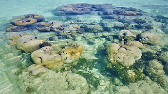 Explore Island Inn