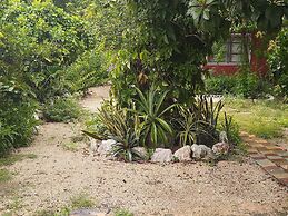 Casa Hostal Mamey - Hostel